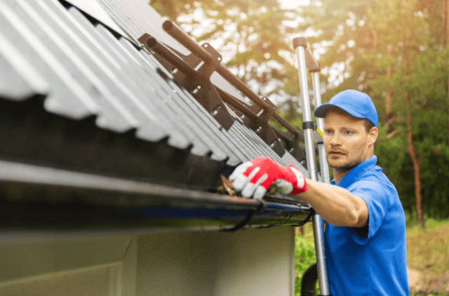 livonia gutter service